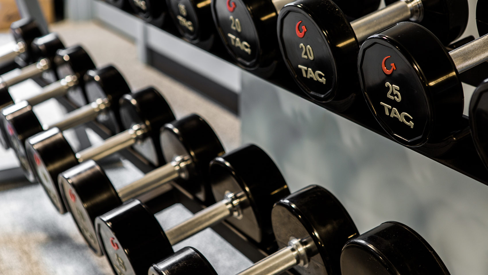 free weights in fitness center